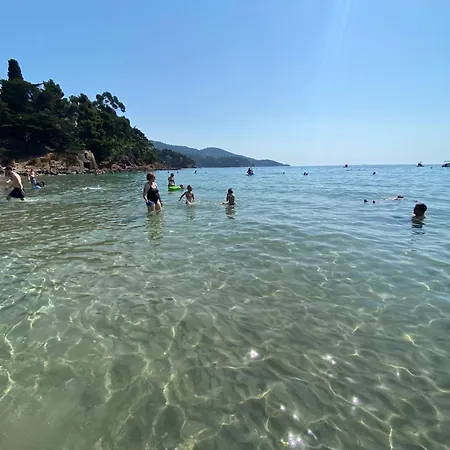 Mazet/ Le Lavandou